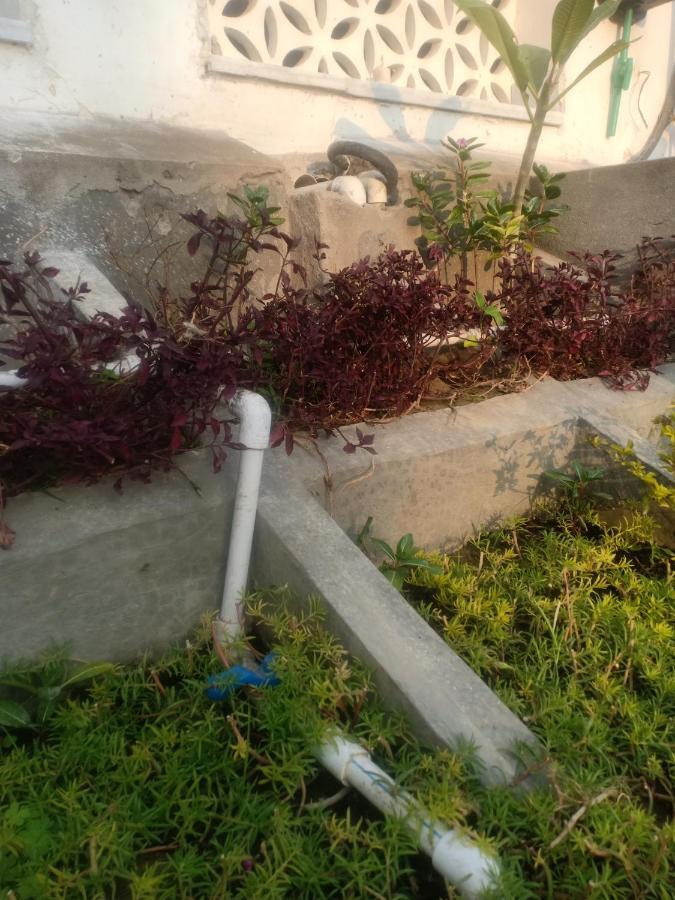 Hn Palace Homestay Agra  Eksteriør billede